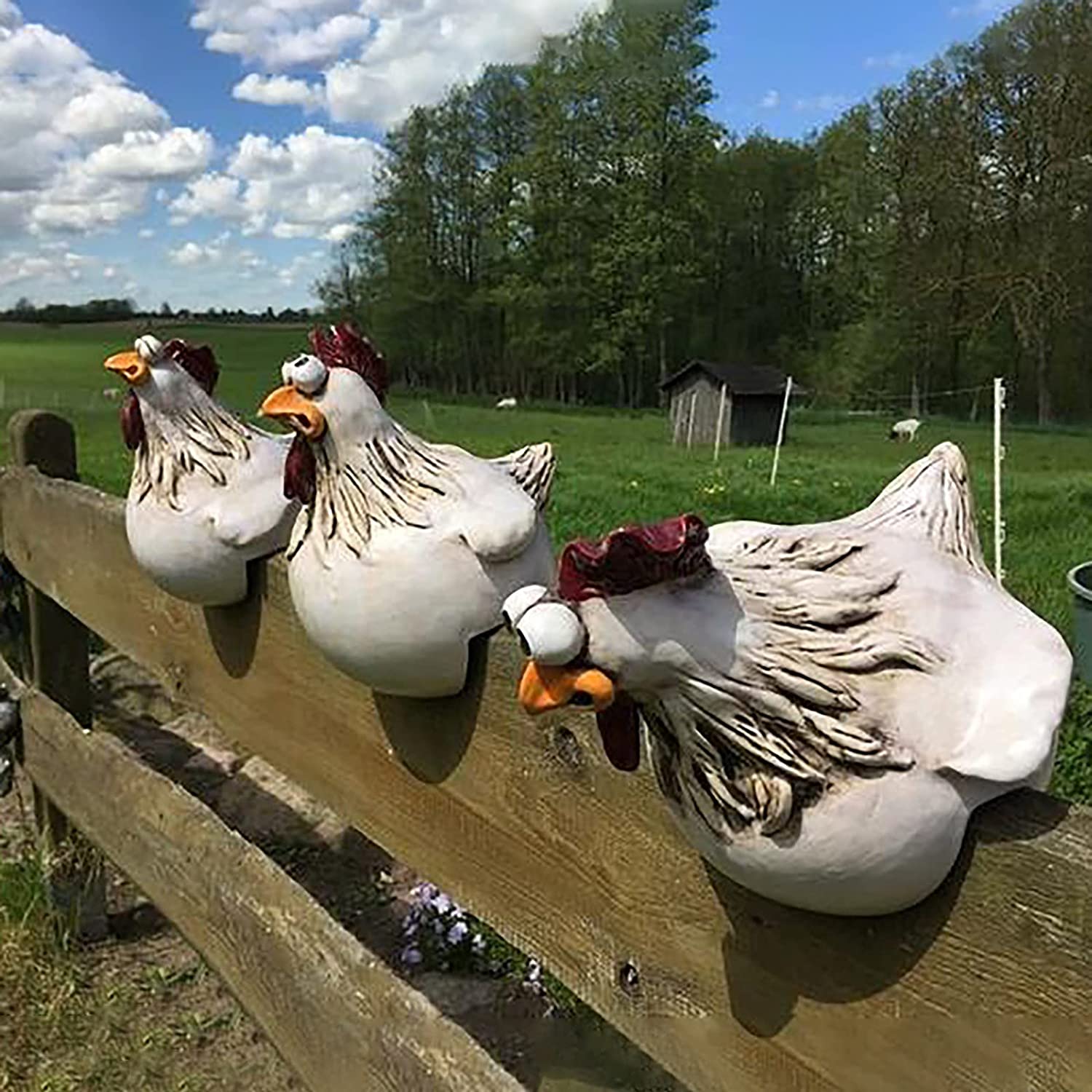 Funny Chicken Garden Fence Decoration - Image 2