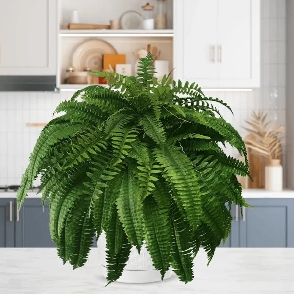 💥This Week's Special Price $19.99🌱UV Resistant Lifelike Artificial Boston Fern - Image 8