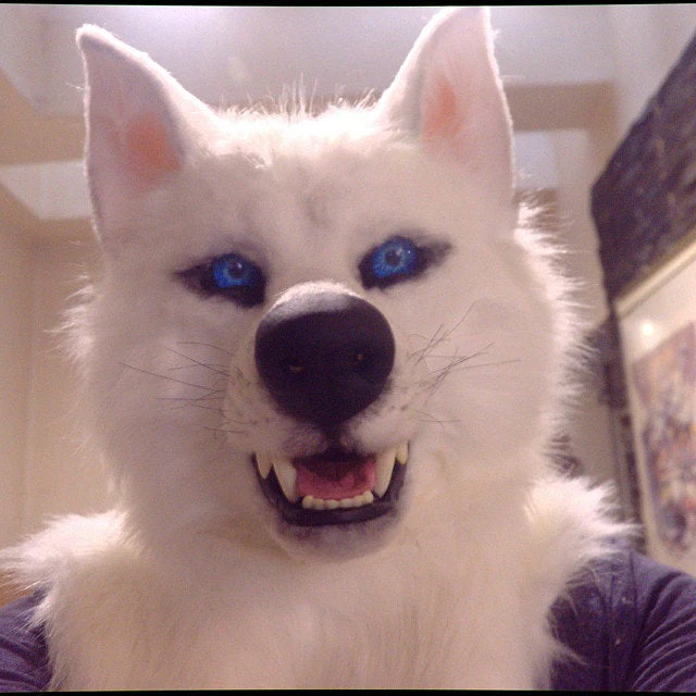 WEREWOLF HEADWEAR COSTUME MASK - Image 7