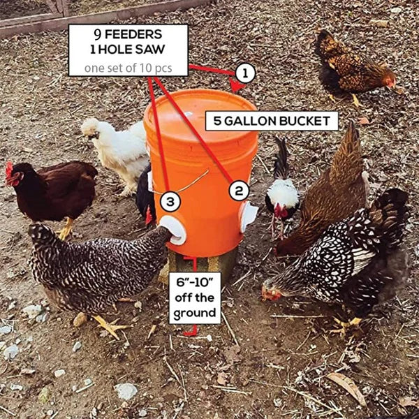 DIY Chicken Feeder - Image 2