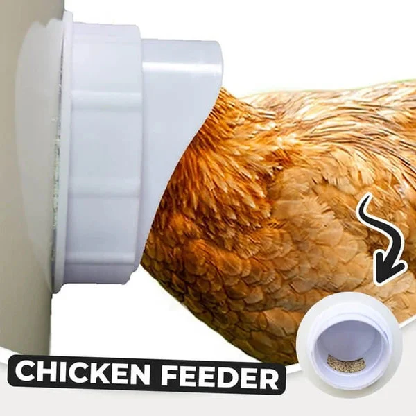 DIY Chicken Feeder - Image 6