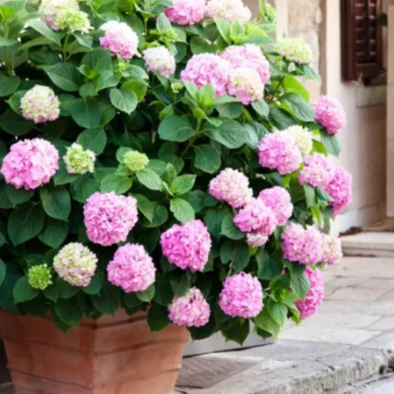 Outdoor Artificial Hydrangea Flowers - Image 11