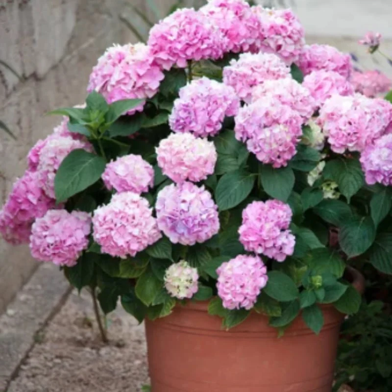 Outdoor Artificial Hydrangea Flowers - Image 12