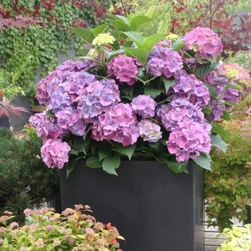 Outdoor Artificial Hydrangea Flowers - Image 14