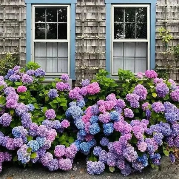 Outdoor Artificial Hydrangea Flowers - Image 17