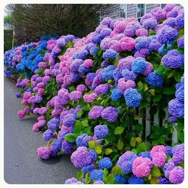 Outdoor Artificial Hydrangea Flowers - Image 21