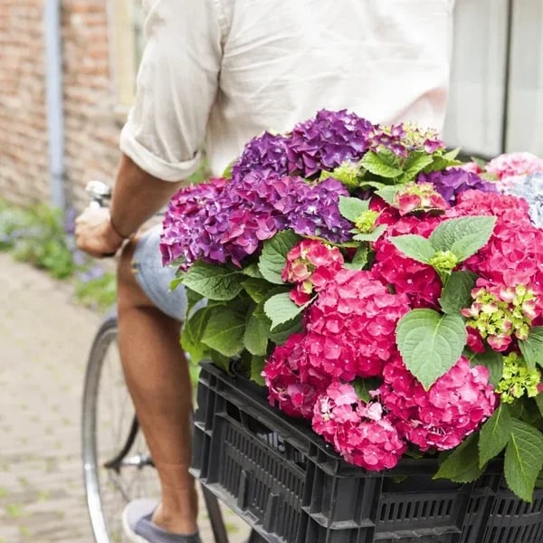 Outdoor Artificial Hydrangea Flowers - Image 23