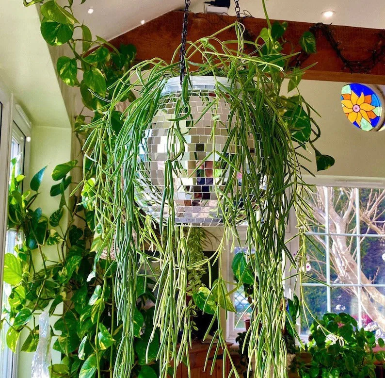 Disco Ball Hanging Planter - Image 10
