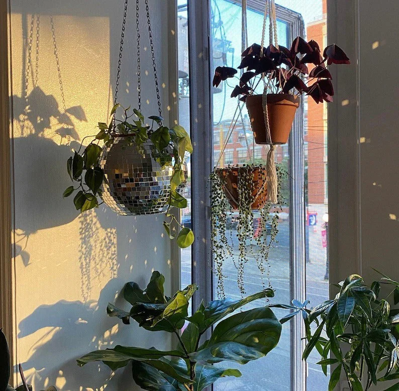 Disco Ball Hanging Planter - Image 9
