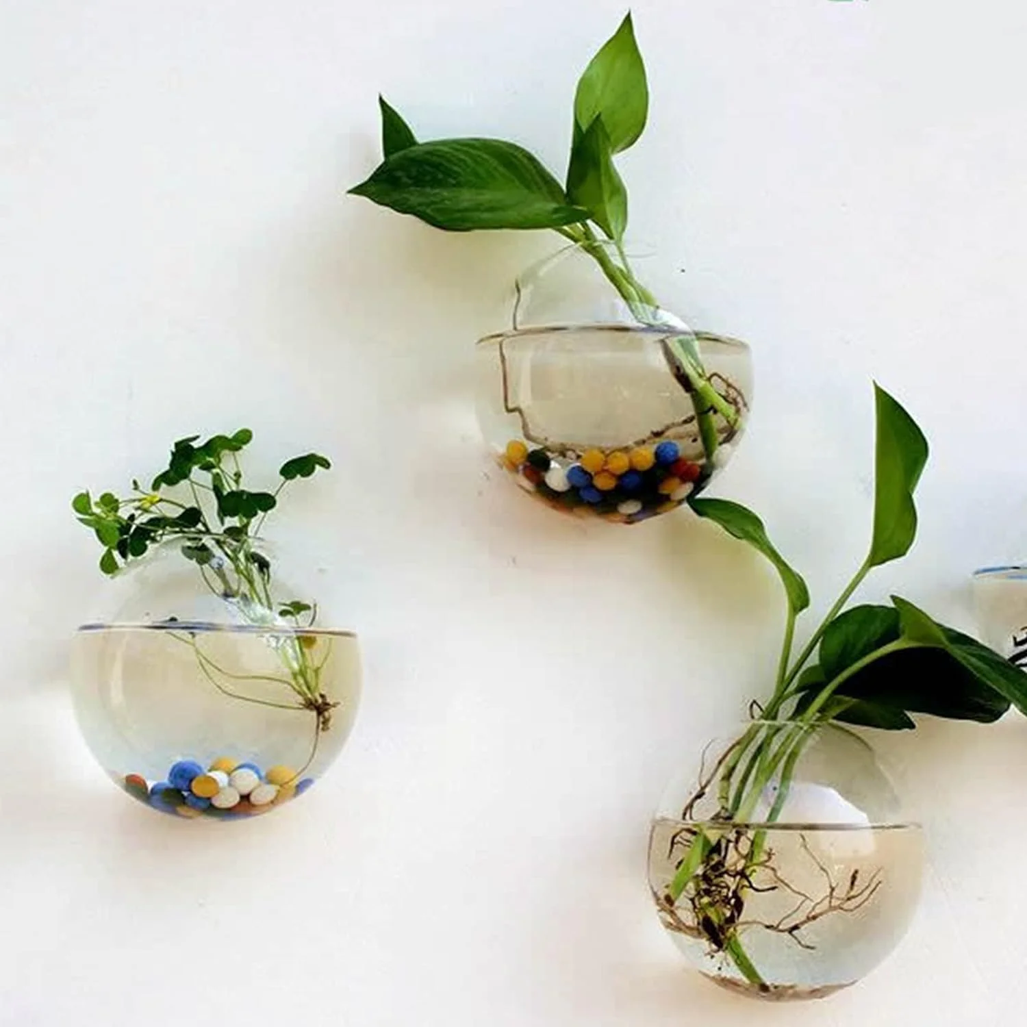 💥Special sale - Glass Oblate Globe Plants Containers Wall Mount Clear Flower Vase - Image 4