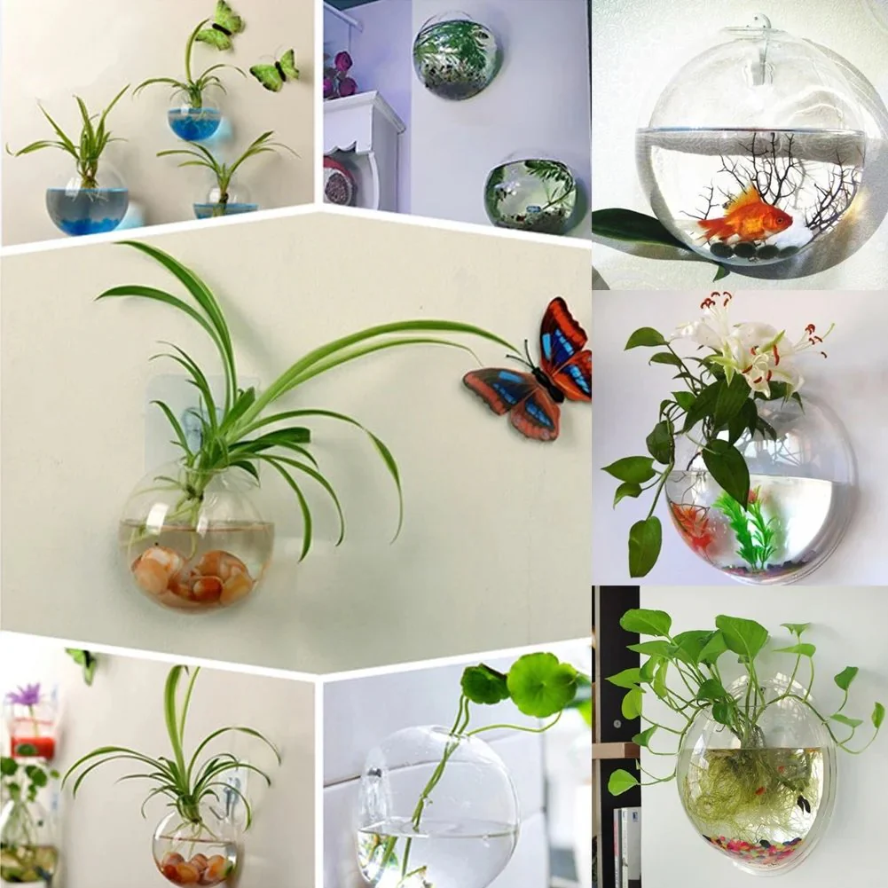 💥Special sale - Glass Oblate Globe Plants Containers Wall Mount Clear Flower Vase - Image 7