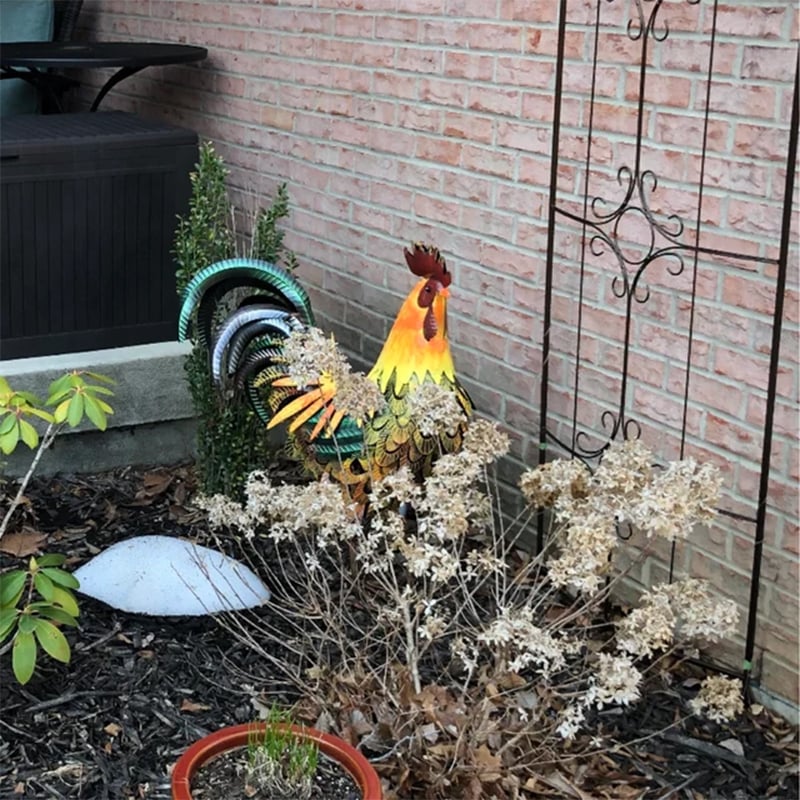 Iron Rooster-Amazing Detail And Beautiful Colours - Image 2