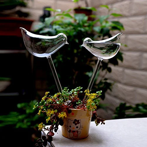 Self-Watering Plant Glass Bulbs-BUY 8 FREE SHIPPING - Image 4
