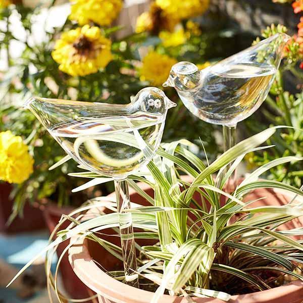 Self-Watering Plant Glass Bulbs-BUY 8 FREE SHIPPING - Image 5