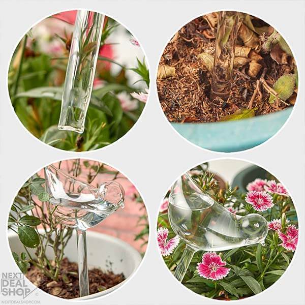 Self-Watering Plant Glass Bulbs-BUY 8 FREE SHIPPING - Image 6