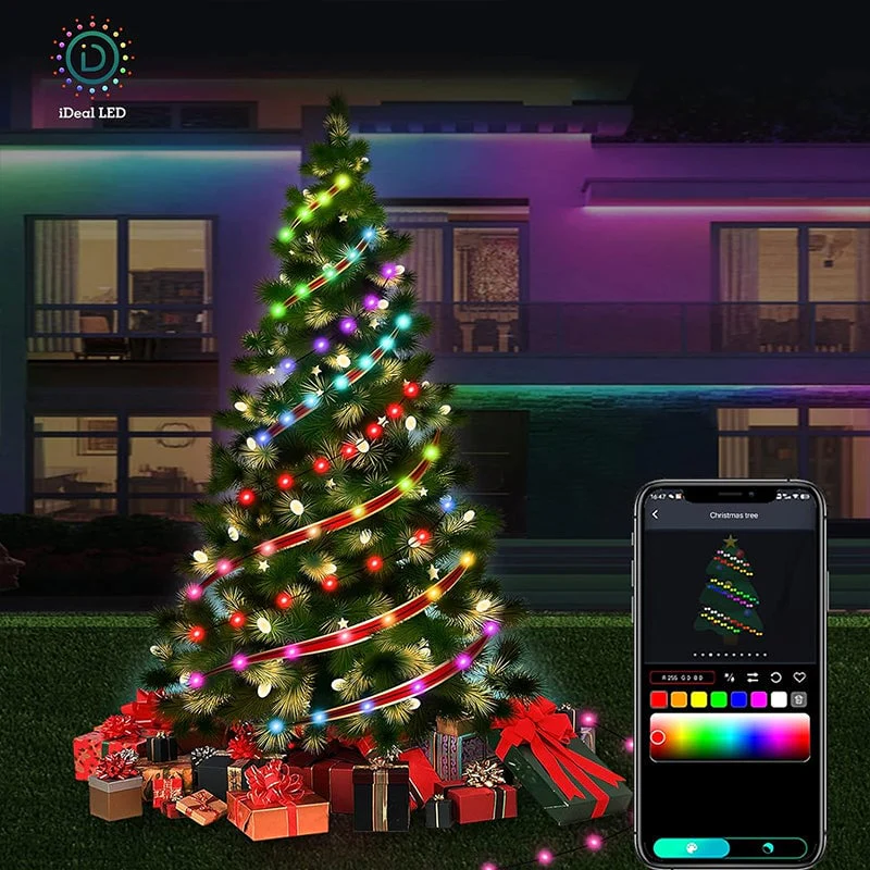 Permanent Outdoor Lights - Image 10