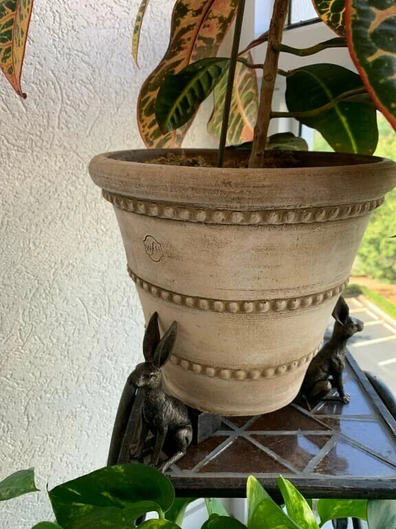 Potty Feet Plant Pot Feet - Image 7