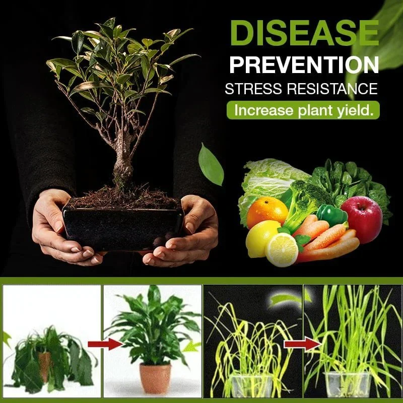 Soil Activated Treasure-You Will Be Amazed (BUY 5 GET 3FREE And FREE SHIPPING) - Image 6