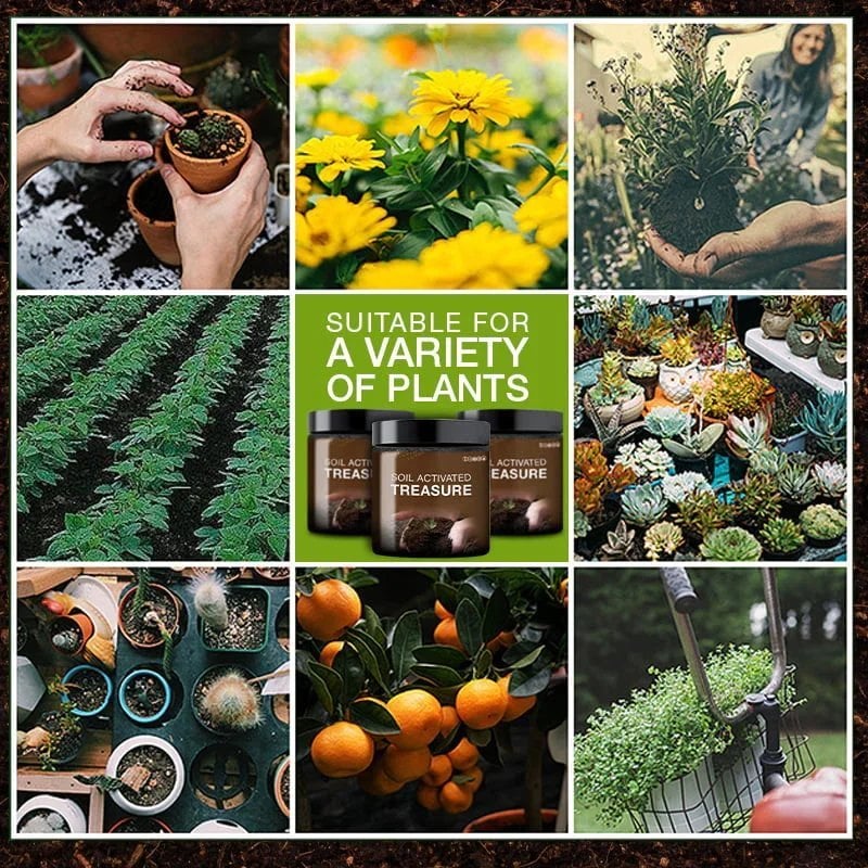 Soil Activated Treasure-You Will Be Amazed (BUY 5 GET 3FREE And FREE SHIPPING) - Image 8
