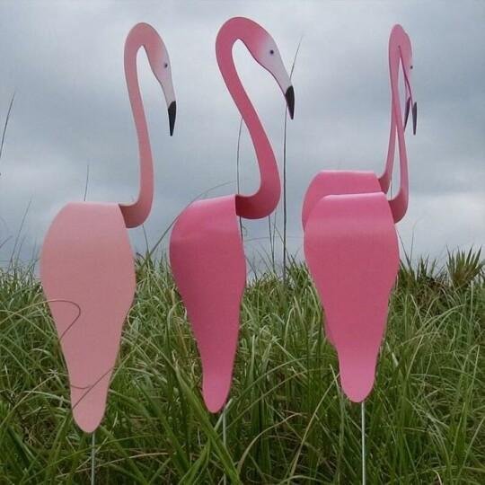 Swirl Bird-A Whimsical And Dynamic Bird That Spins With The Slight Garden Breeze - Image 12