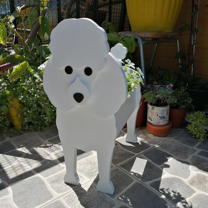 Unique Pet Planter - Image 33