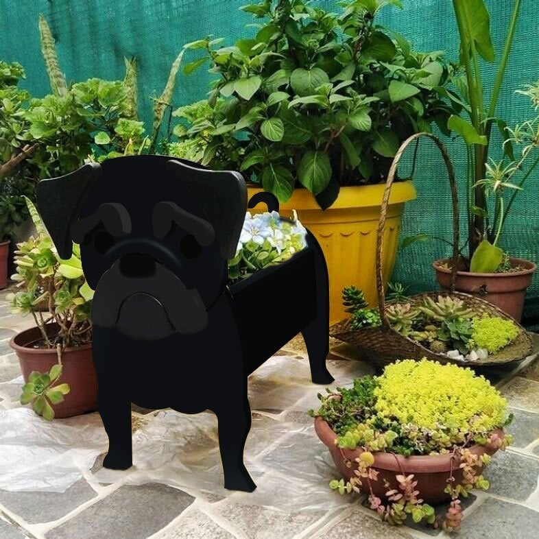 Unique Pet Planter - Image 37