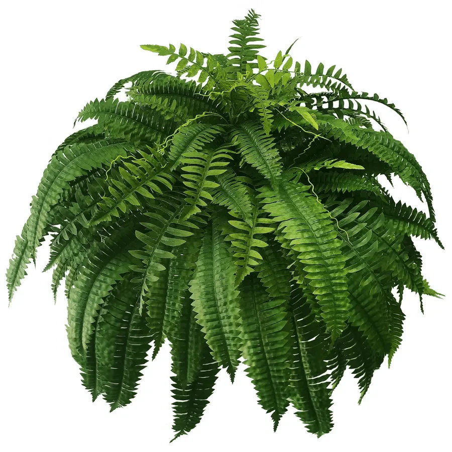 🌱UV Resistant Lifelike Artificial Boston Fern-Multiple Leaf Count Options - Image 12