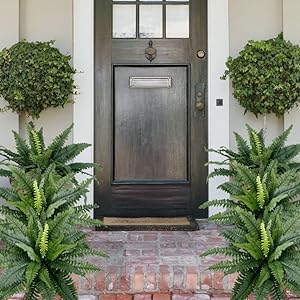 🌱UV Resistant Lifelike Artificial Boston Fern-Multiple Leaf Count Options - Image 4