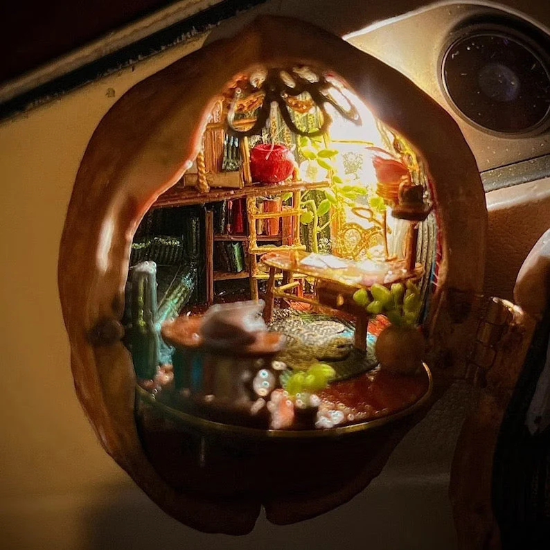 Handmade.Walnut Shell Doll House--mini library, tiny World inside walnuts - Image 7
