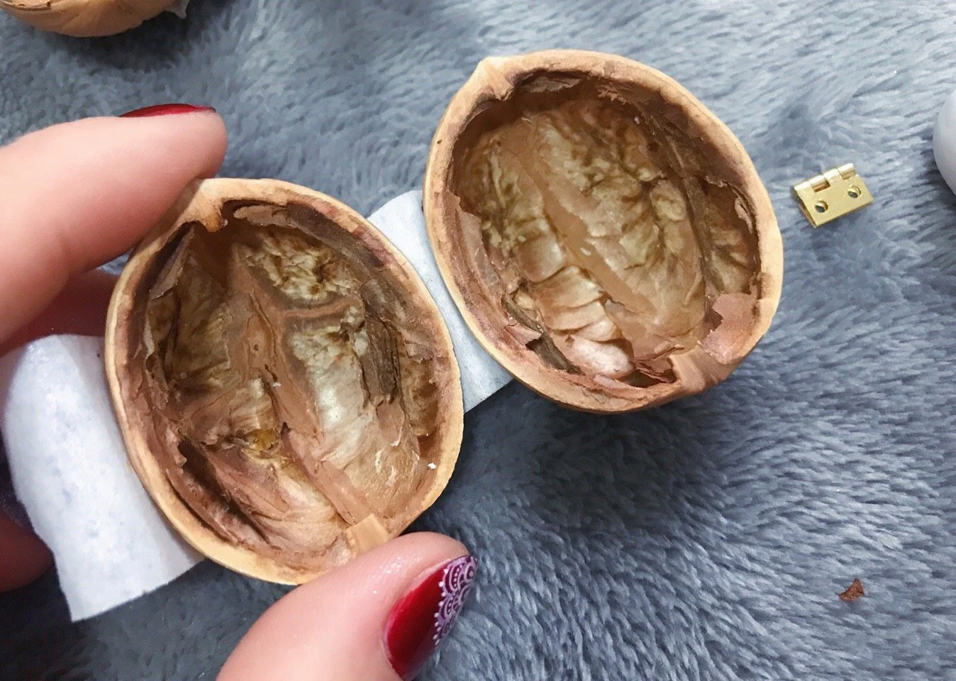 🌟NEW🌟HOT SALE🏠Handmade.Walnut Shell Doll House--mini library, tiny World inside walnuts - Image 5