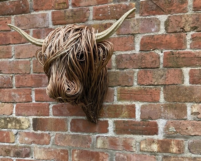 Messy Hairstyle Plateau Cow - Image 11