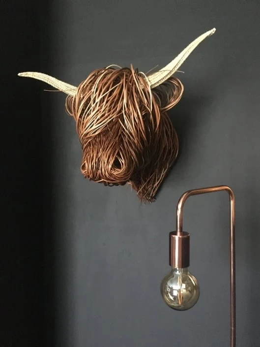 Messy Hairstyle Plateau Cow - Image 2
