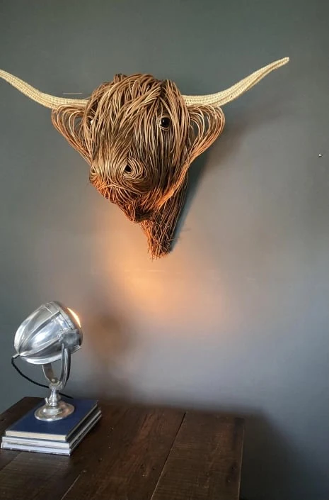 Messy Hairstyle Plateau Cow - Image 6